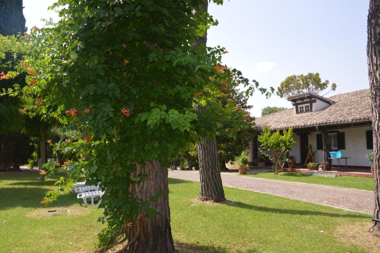 Lupidi Bed & Breakfast