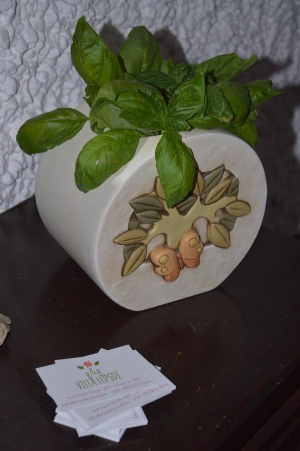 Lupidi Corridonia