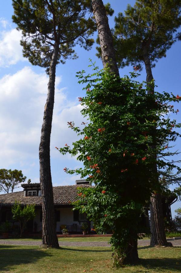 Lupidi Bed & Breakfast Corridonia