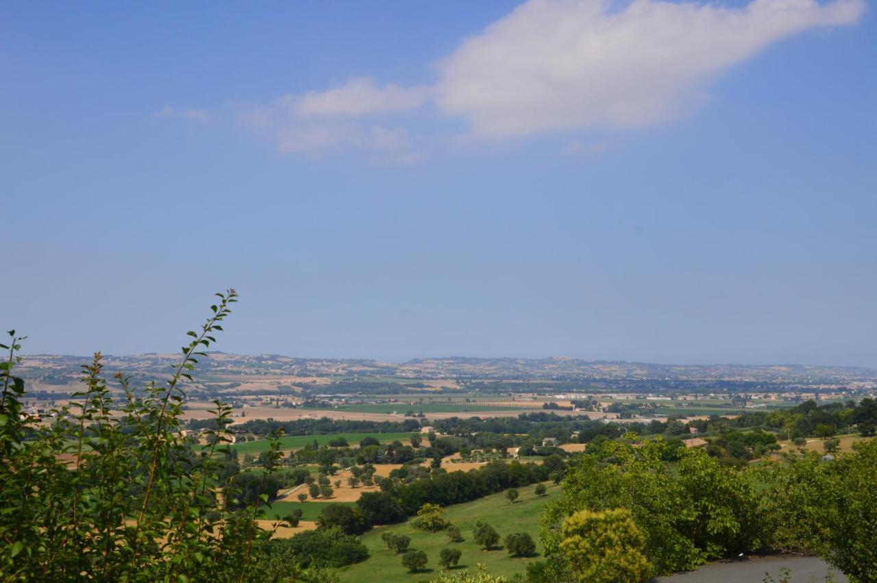 Lupidi Corridonia