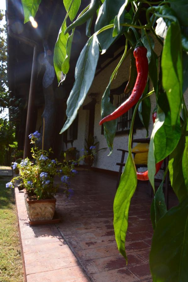 Bed & Breakfast Lupidi