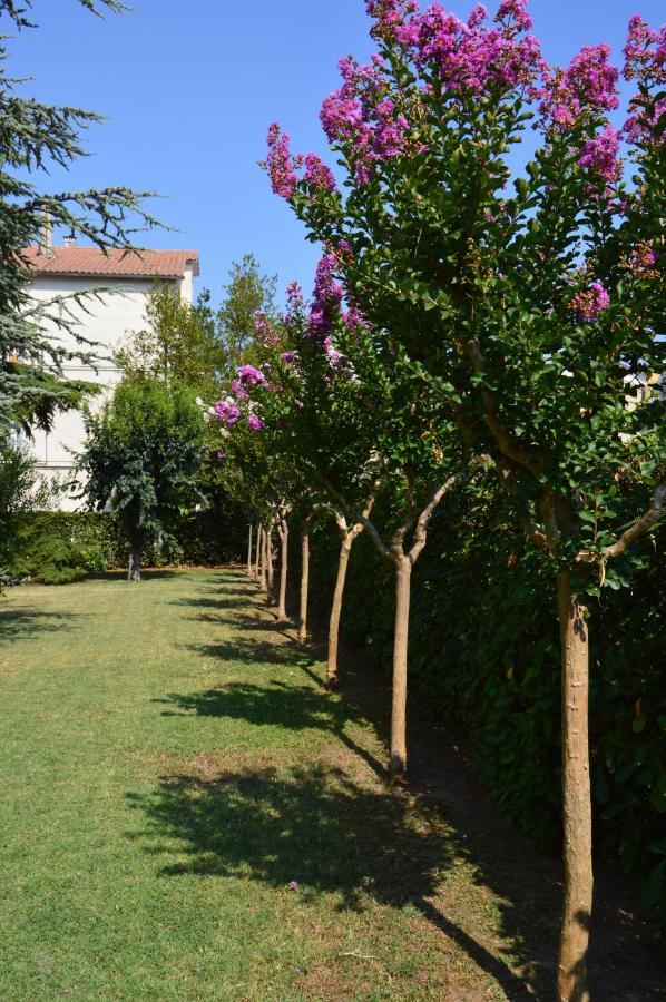 Bed & Breakfast Lupidi
