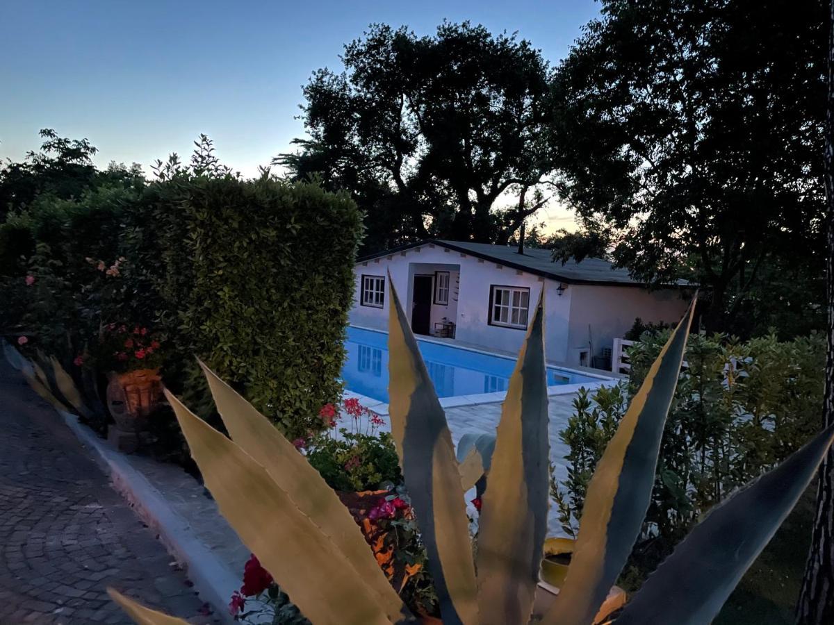 Lupidi Bed & Breakfast *
