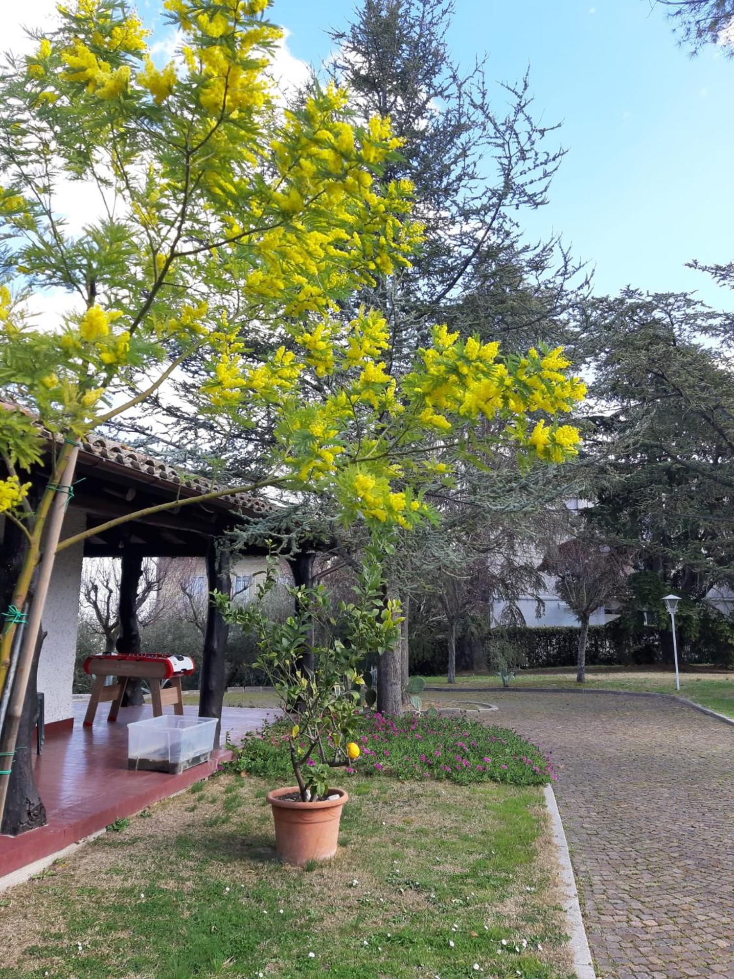 Bed & Breakfast Lupidi Corridonia